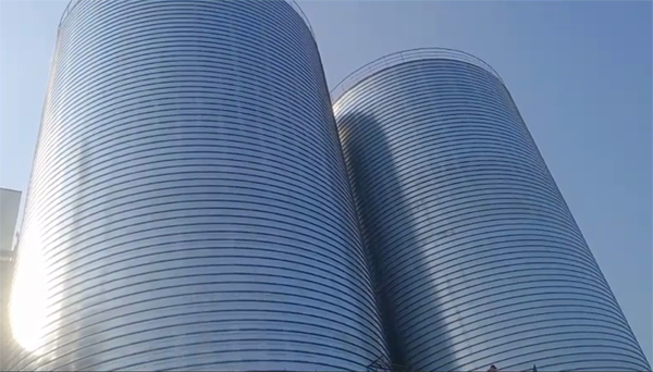 文罗镇2座混凝土高架卷板仓